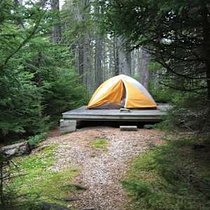 Tent platform option 2, under the trees