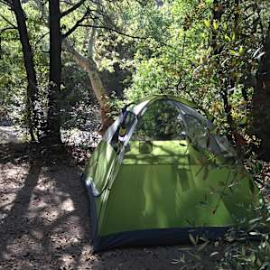 Site #6