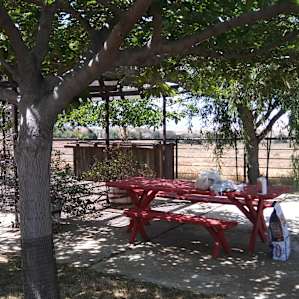 Beautiful bbq area