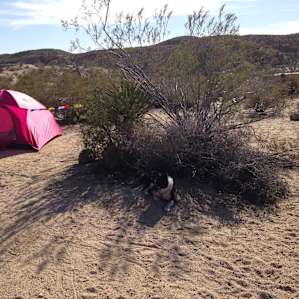Cottonwood Campground
