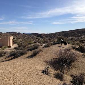 Cottonwood Campground