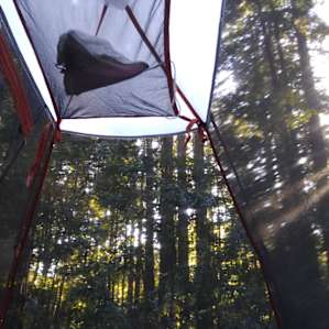 View from the tent
