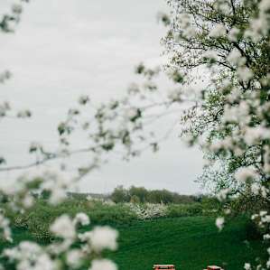 We LOVED our spring camping trip on the orchard!