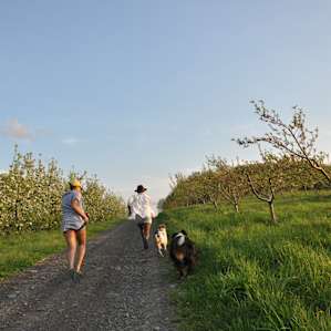 Racing the dogs to the top of the hill. A perfect place to bond with the pups!