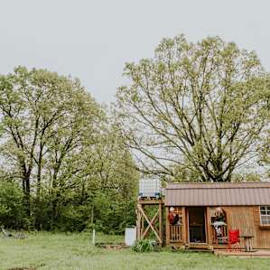 Super cute little shelter