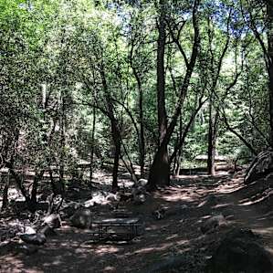 Spruce Grove Trail Camp