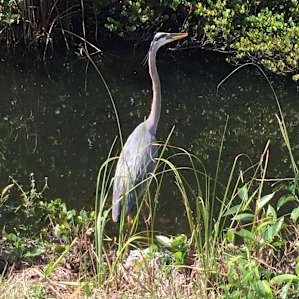 Collier-Seminole Collier-Seminole