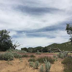 Cibbets Flat Campground