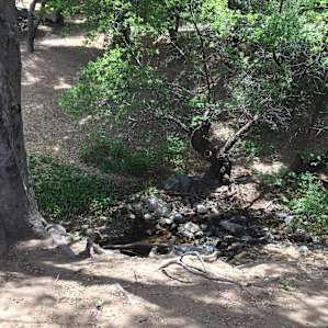 Cibbets Flat Campground