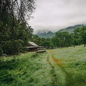 Twelve acres of land to explore including an old barn.