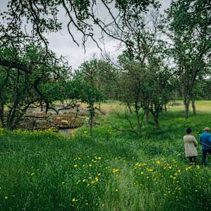 Afternoon walk around the property