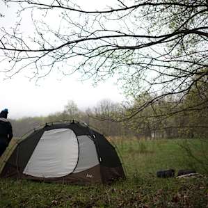 Set up tent at the edge of the forest.