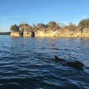 Pace Bend Campground