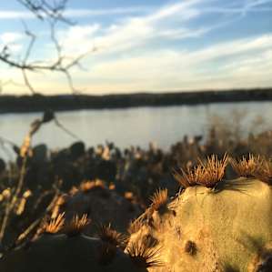 Pace Bend Campground