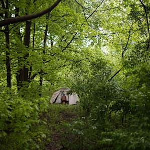 Amidst the flora and fauna.