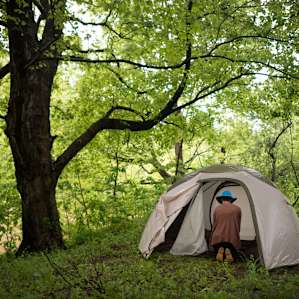 15 Acre Wood on Lake