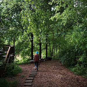 15 Acre Wood on Lake
