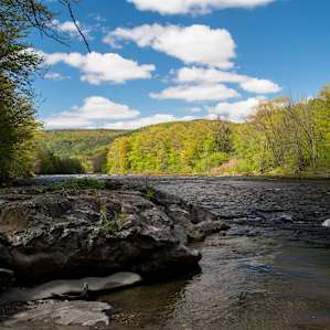 The Beautiful West River is just a short walk from the cabin.