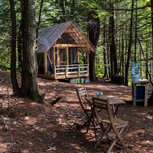 Nestled in the woods, Tanglebloom Cabin is so inviting!