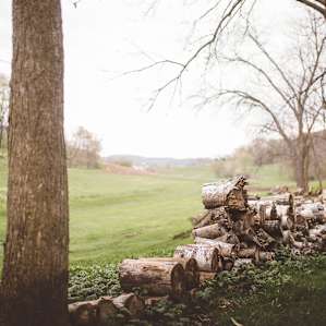 a short walk down the valley leads to the resort, $10 breakfast is available to campers