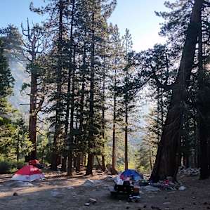 Buckhorn Campground-Open