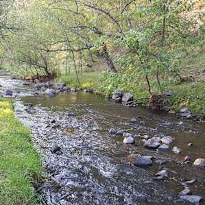 Grace Coolidge Campground
