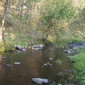 Grace Coolidge Campground