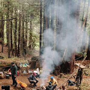 forest people group