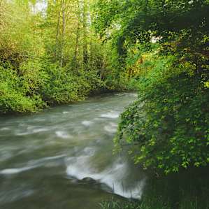 River running through the property