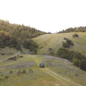 The drive back down the hill is pretty sweet, too.