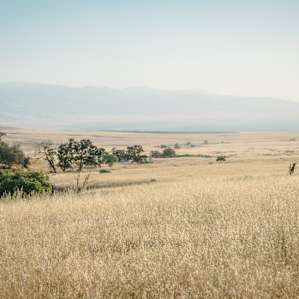 Incredible views on the way to the Ranch