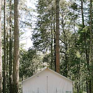 Not in the pitch your own tent area - but are available to reserve on the property.