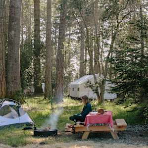 tent forest people