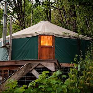 Forest Yurt/Palace