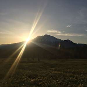 Shasta View Meadow at sunrise.