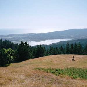 Bolinas!