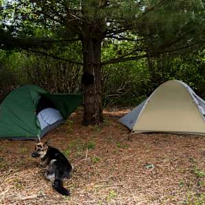The secluded tenting area at site #1