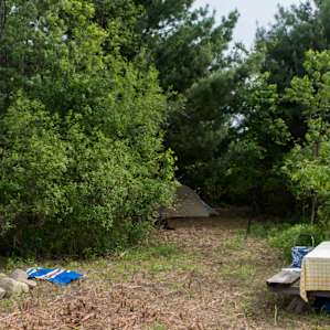 Site #1