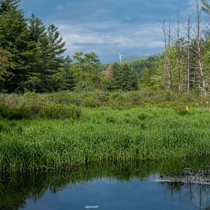 The beaver pond with the Jiminy Peak wind turbine in the background