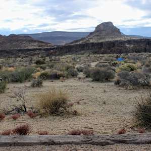 Mojave is puppy friendly!