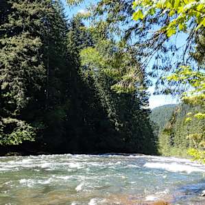 Lower Falls Group Camp