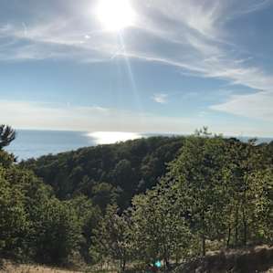 Awesome views of the lake and trees from the hiking trails