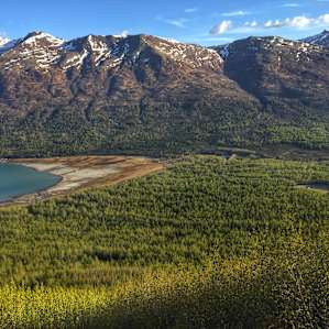 The campsite is just to the right of the beach, just beyond some the trees. That's what you want because the winds coming off Eklutna Glacier is chilly and fast in the afternoons. While kayaking, it feels like we're sea kayaking! Fun, but challenging.