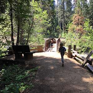 South Grove Trail