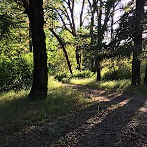 Bear Creek Campground