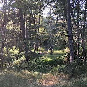 our campsite