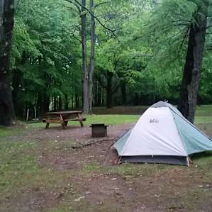 Site 36