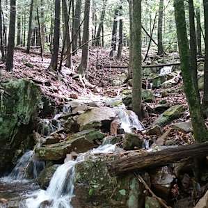 lovely waterfall along the Ledge Trail