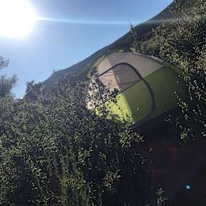 Tent clearing area in the bushes at Site 19.