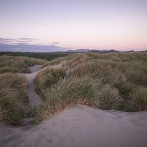 Nehalem Bay Nehalem Bay